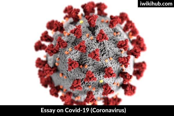 Essay on Covid-19 (Coronavirus)